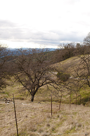 Pine Mountain Road