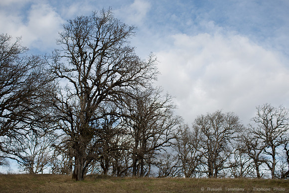 Pine Mountain Road