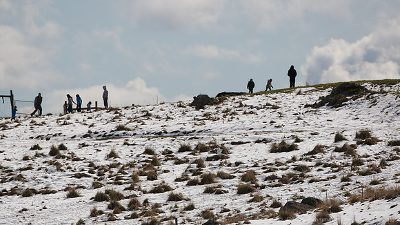 Geyser Road