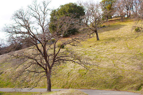 Pine Mountain Road