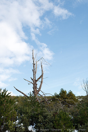 Pine Mountain Road