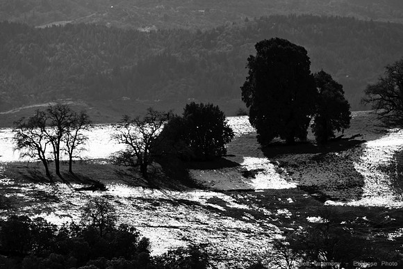 Geyser Road