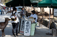 1DX_6582