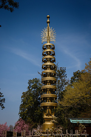 1DX_6684