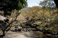 1DX_6586
