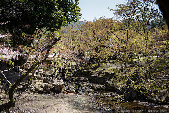 1DX_6586