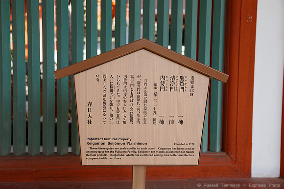 1DX_6746