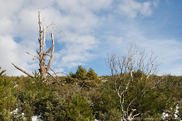 Pine Mountain Road