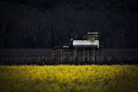 Alexander Valley