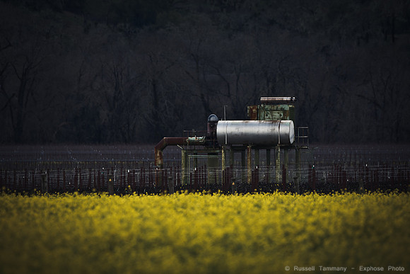 Alexander Valley