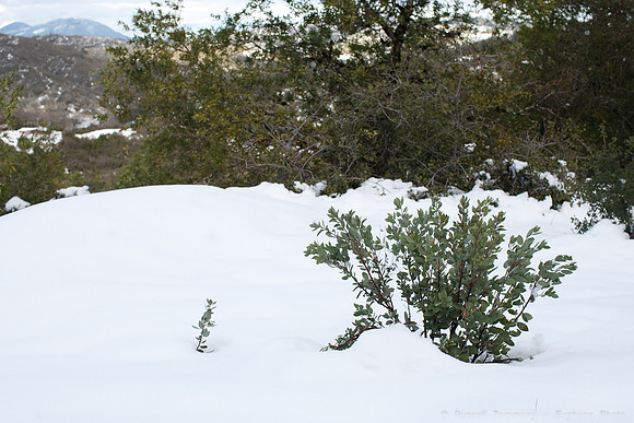 Pine Mountain Road