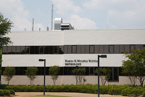 Medical College of Georgia, Augusta GA
