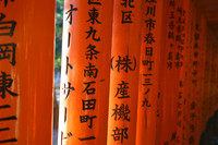 DSC09012