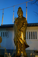 DSC09085