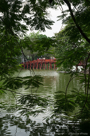 DSC04539
