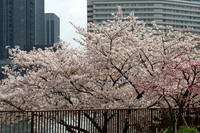 1DX_5780