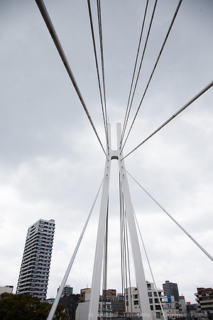 1DX_6221