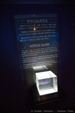 1DX_6433