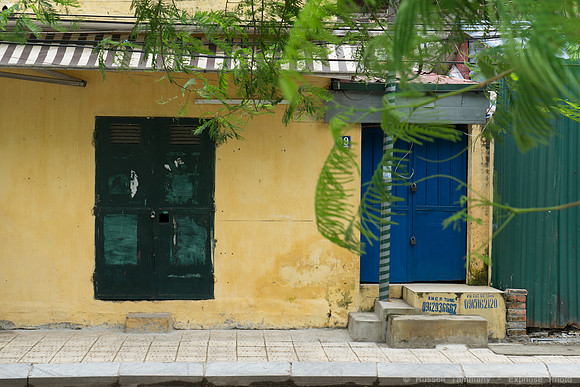DSC04596