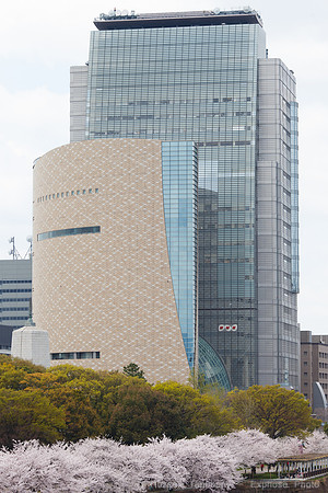 1DX_6004