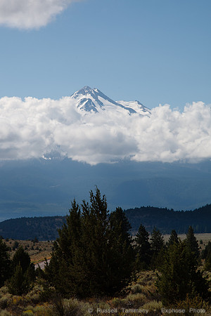 Mt. Shasta, CA