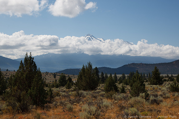 Mt. Shasta, CA