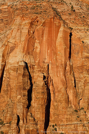 Zion NP, UT