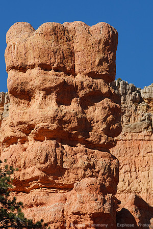Red Canyon Area, UT