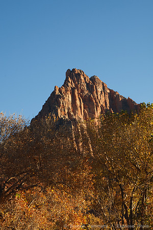 Zion NP, UT