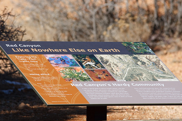 Red Canyon Area, UT