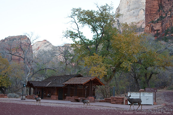Zion NP, UT