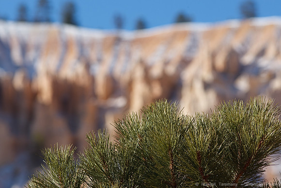 Bryce Canyon NP