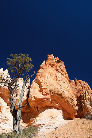 Bryce Canyon NP