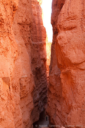 Bryce Canyon NP