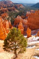 Bryce Canyon NP