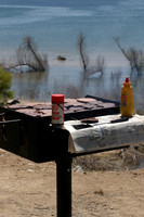 Folsom Area