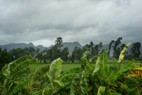DSC04977
