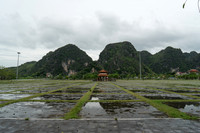 DSC05035