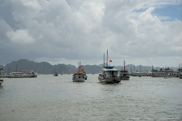 DSC05226