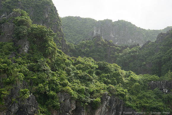DSC05458
