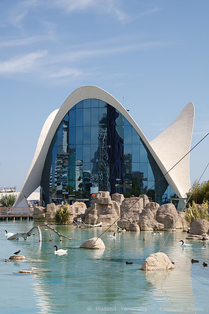 Valencia - Oceanografic