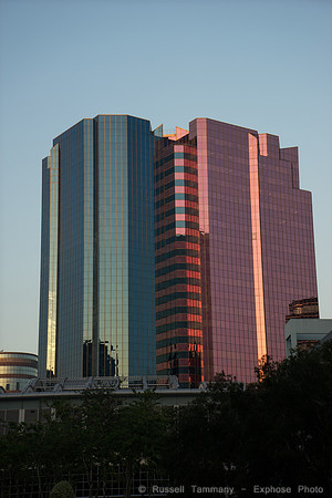 DSC09103