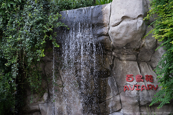 DSC08003