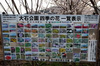 1DX_6945