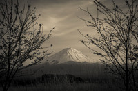 1DX_6946