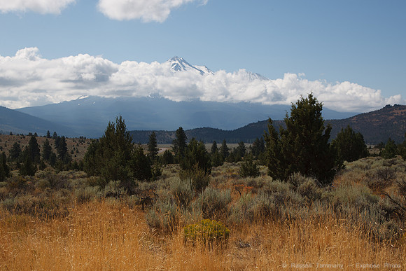 Mt. Shasta, CA
