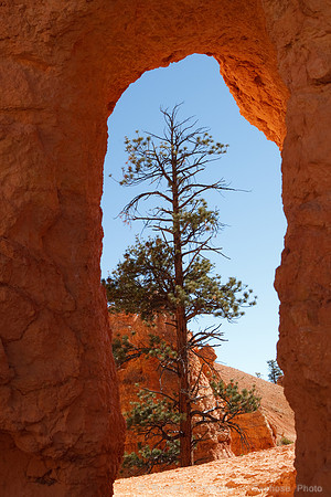 Bryce Canyon NP