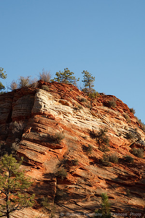 Zion NP, UT