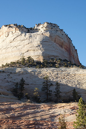 Zion NP, UT