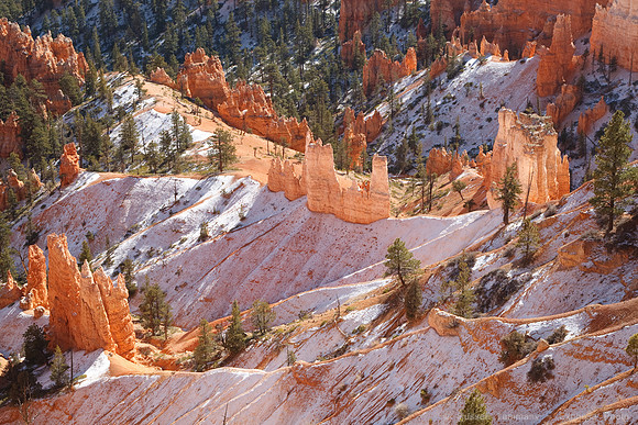 Bryce Canyon NP